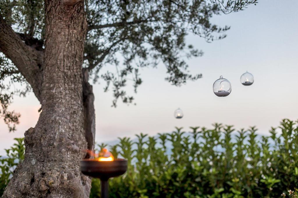 Casale Santa Maria Country House Mosciano Sant'Angelo Luaran gambar